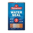 Thompson's Water Seal