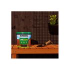 Ronseal One Coat Shed & Fence Protector