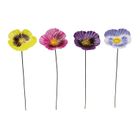 Primus Garden Stakes