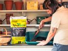 SylvaGrow Seed Compost