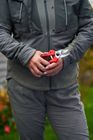 171M & 171L Secateurs
