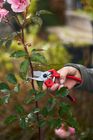 171M & 171L Secateurs