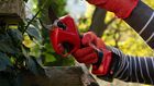 2e Electric Secateurs