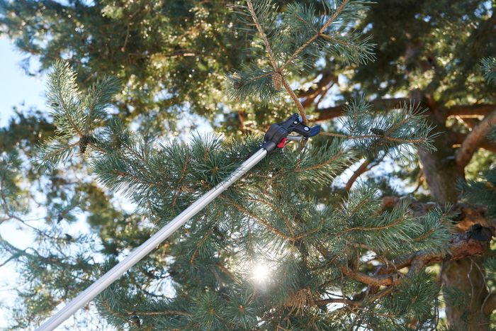 290-4M Pole Pruner