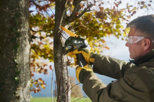 Beverin 10 Mini Chainsaw
