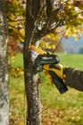 Beverin 10 Mini Chainsaw