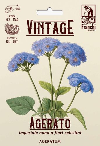 Vintage 1928 flowes
