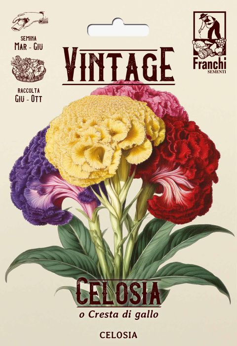 Vintage 1928 flowes