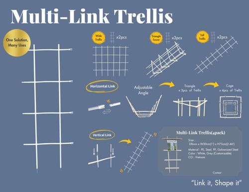Multi-link trellis