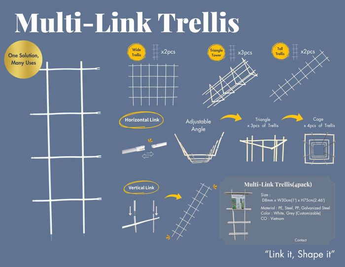 Multi-link trellis