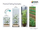 Multi-link trellis