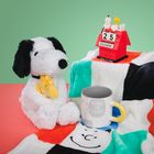 PEANUTS Card & Gifting Collection