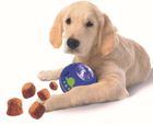 C7561  Treat Ball