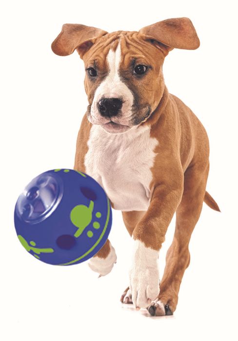 C7561  Treat Ball