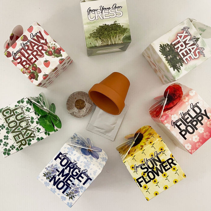 Grow Your Own Gift Pots