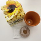 Grow Your Own Gift Pots
