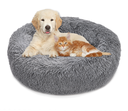 pet bed
