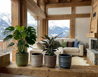 Rustic Clay
