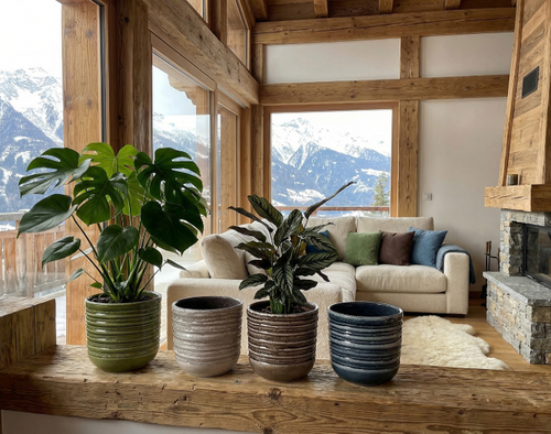 Rustic Clay
