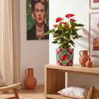Strong Women Edition: Frida Kahlo