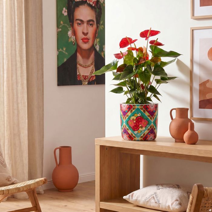 Strong Women Edition: Frida Kahlo