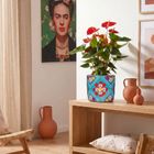 Strong Women Edition: Frida Kahlo