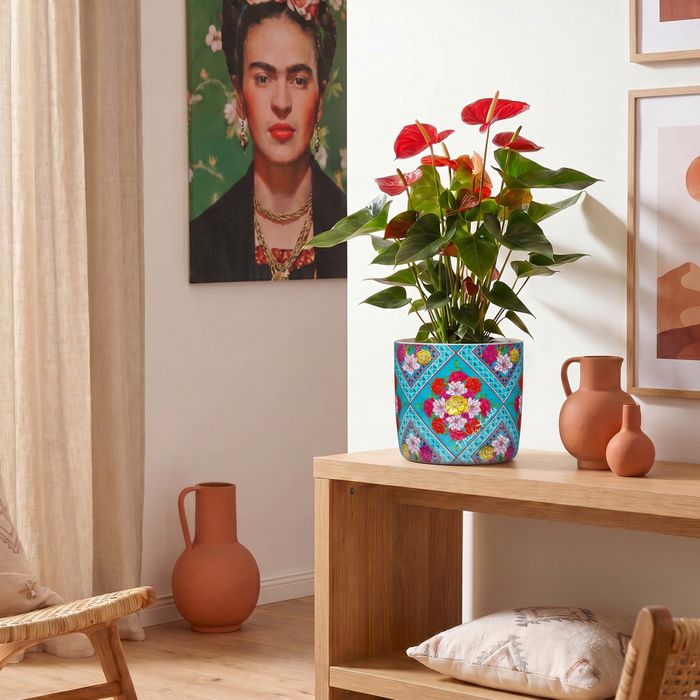 Strong Women Edition: Frida Kahlo