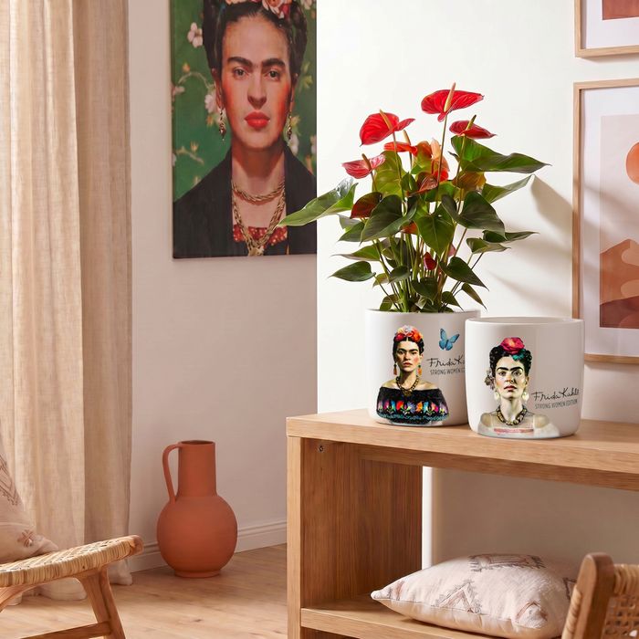 Strong Women Edition: Frida Kahlo