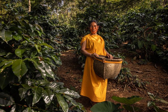 Dalia Casancho Indigenous Coffee