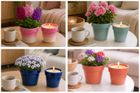 Grow After Glow Candle Grow Kits