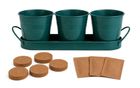 Classic Kitchen Herbs Trio Grow Set