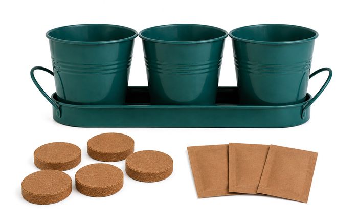 Classic Kitchen Herbs Trio Grow Set