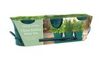 Classic Kitchen Herbs Trio Grow Set