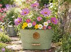 Outdoor Trough Pollinator Grow Kit