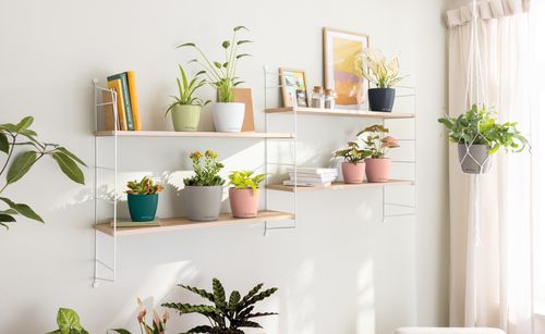 LECHUZA DECO