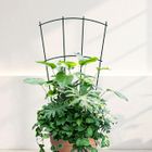 Metal Garden Trellis | Wrought Iron Plant Support Trellis