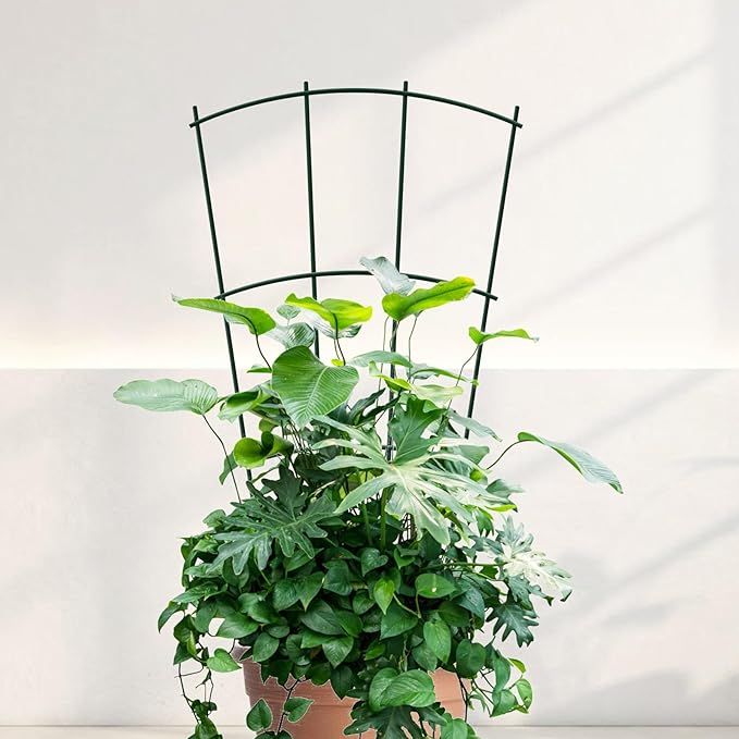 Metal Garden Trellis | Wrought Iron Plant Support Trellis