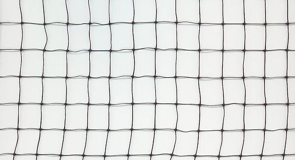 Anti Bird Net