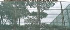 Wind break net