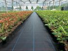 Anti Grass Woven Fabric