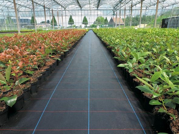 Anti Grass Woven Fabric