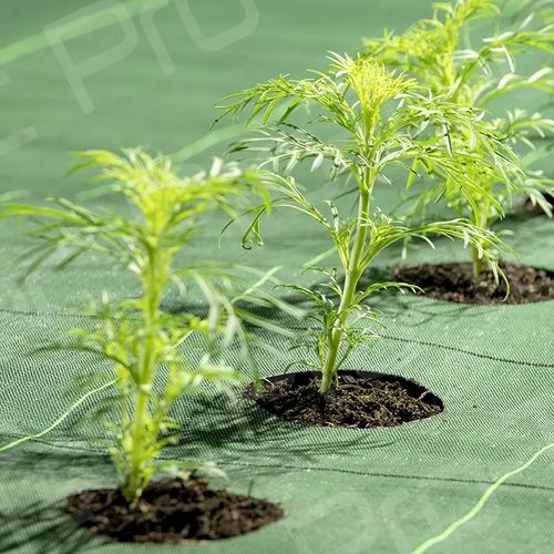 Anti Grass Woven Fabric