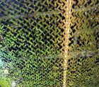 Camouflage net