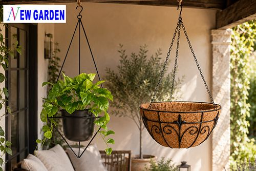Hanging Basket