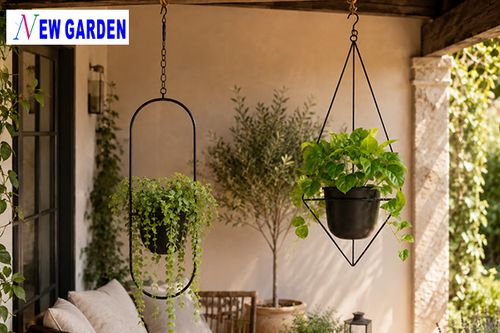 Hanging Basket