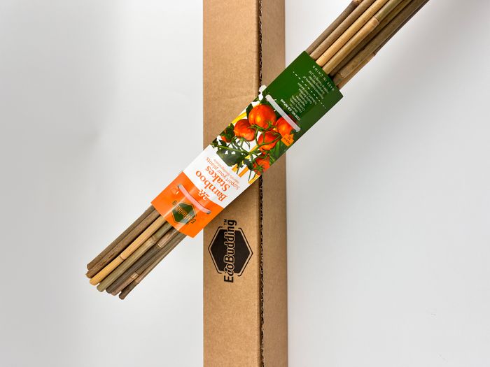 Bamboo Stakes