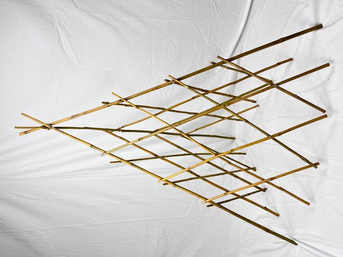 Bamboo Trellis