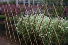 Fences Products