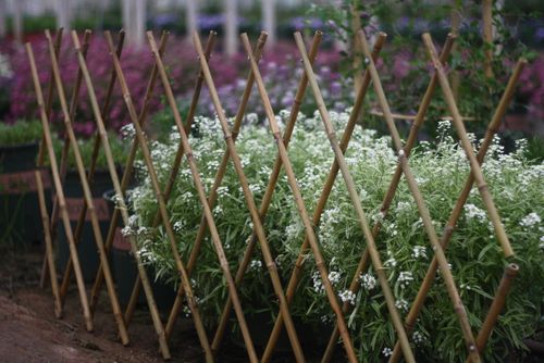 Fences Products