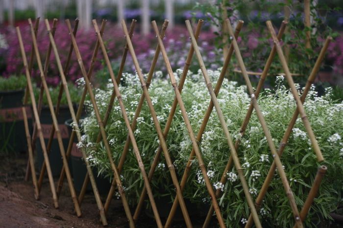 Fences Products